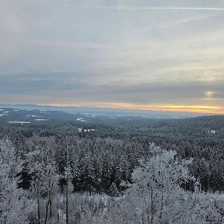 Apartmany Lipnoczech Frymburk Buitenkant foto