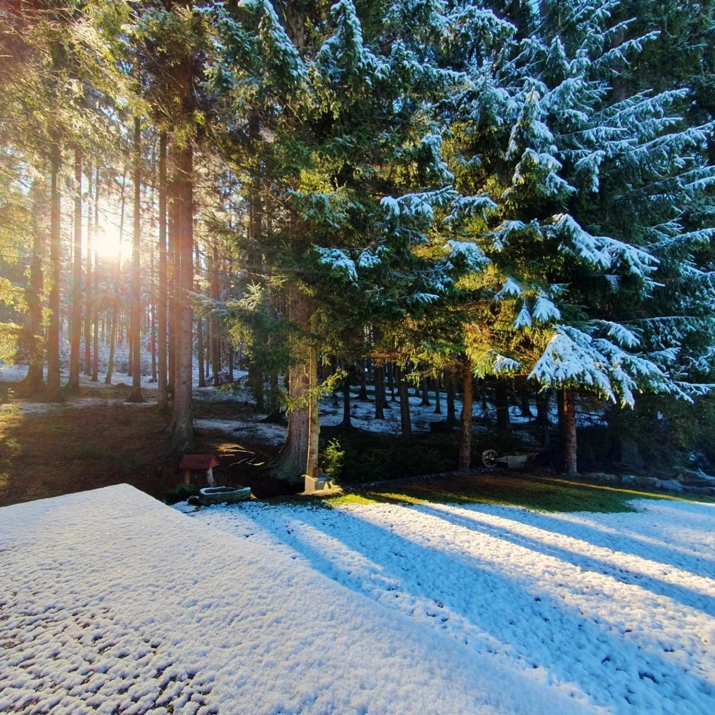 Apartmany Lipnoczech Frymburk Buitenkant foto